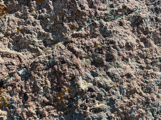 rough volcanic rock texture with pink and gray mineral patterns and yellow lichen for nature...