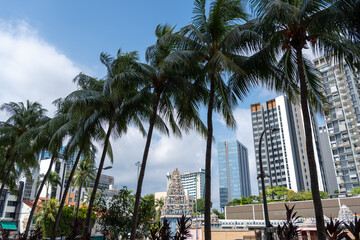 Fototapeta premium Sri Srinivasa Perumal Temple surrounded by buildings and palm trees in Singapore