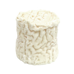 Chabichou du Poitou - fromage français / fond transparent