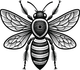 The bee vector art design