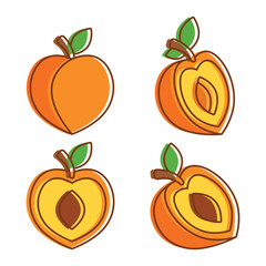 Peach fruit icon set collection in flat style. Apricot vector illustration on isolated background. Nectarine nature snack sign business concept.