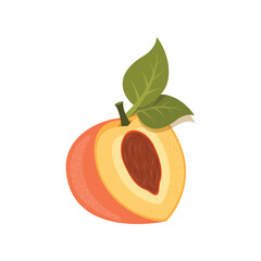 Peach fruit icon in flat style. Apricot vector illustration on isolated background. Nectarine nature snack sign business concept.