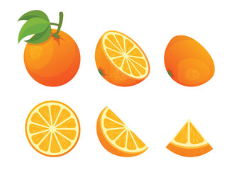 Orange fruit icon set collection in flat style. Clementine vector illustration on isolated background. Nature snack sign business concept.