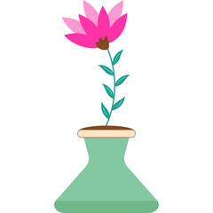 Spring Flower Illustration