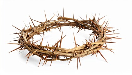 Fototapeta premium Crown of thorns isolated on white background