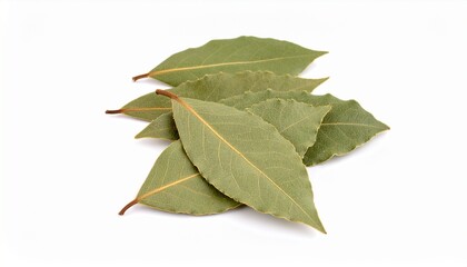 Fototapeta premium Dried bay leaf isolated on a on background 