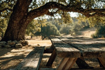 Rustic wooden picnic table under a large oak tree in a sunlit park setting.