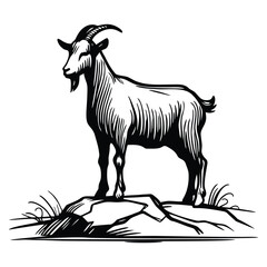 Sketch Goat Standing on Cliff – Elegant Line Art Wildlife Logo