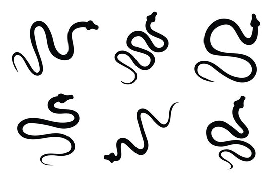 Snake icon. Snake silhouette vector. snake silhouette cobra wildlife icons hand drawn. Clipart boa constrictor, cobra, grass snake, python Isolated on white background. 