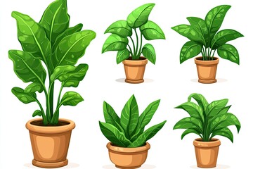 Obraz premium Collection of potted houseplants, various types and sizes. Vibrant green foliage in terracotta pots