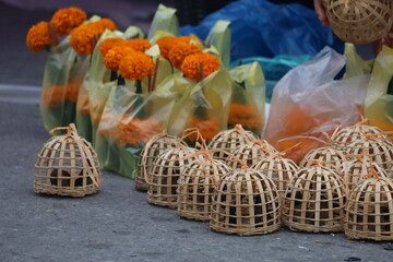 Little birds in the wooden cage to be release for good luck