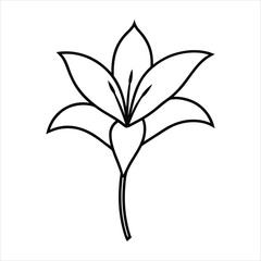 Zephyranthes flower Design