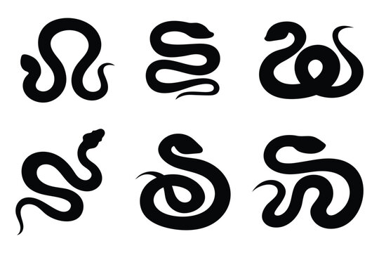 Black silhouette of a coiled snake with an upright head and curved tail, symbolizing danger and venomous creatures. snake icon vector glyph style design. Snake , logo. Snake icons set in black fiiled.