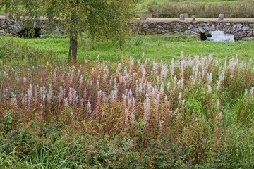 Old stone bridge Alvareds Bro in Skaraborg Sweden