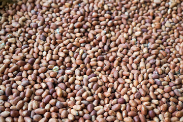 Close-up of raw peanuts in shell