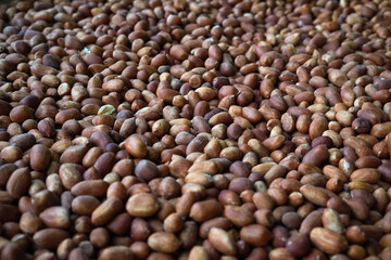Close-up of raw peanuts in shell