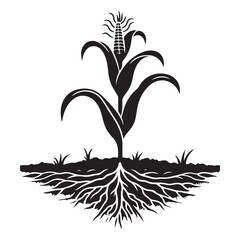 Corn Plant Root System Silhouette Vector Graphic Design © Creative Image  