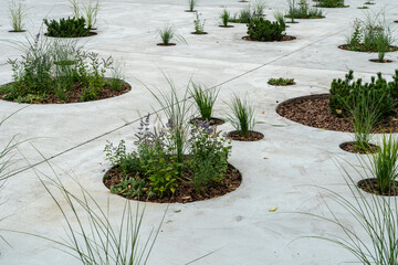 Modern Flower Pot, Street Bed, Plant Boxes Modern City Floristry, Urban Flowerbeds Design, City...