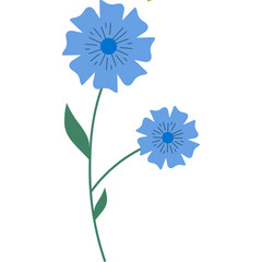 Spring Flower Illustration