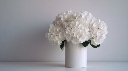 White hydrangeas in cylindrical vase, light grey wall, high-key minimalist photo