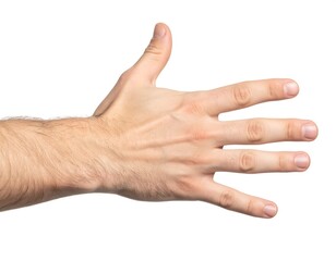 Human hand image against white background