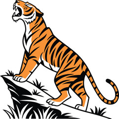 tiger on a white background