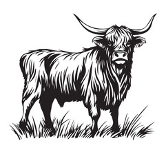 vector illustration of a cow