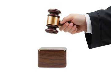 gavel and books