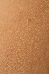 Macro shot of skin with fine hairs
