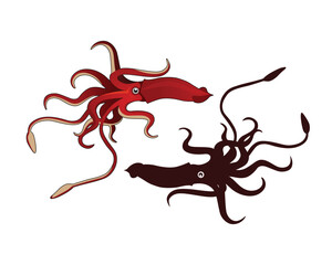 Obraz premium Sea Animal Giant Squid Vector Clipart, Icon and Graphics for Free Download