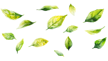 A scattering of green and yellow leaves, digitally painted, with varying sizes and angles against a black background.  The leaves show detailed veining and subtle color gradations