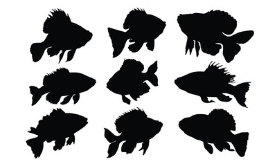 Fish illustration silhouettes Collection, fish silhouette vector art white background