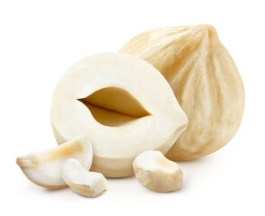 Hazelnut isolated on white background Clipping Path