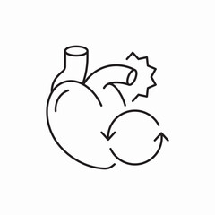 anatomical heart with artery icon vector sign