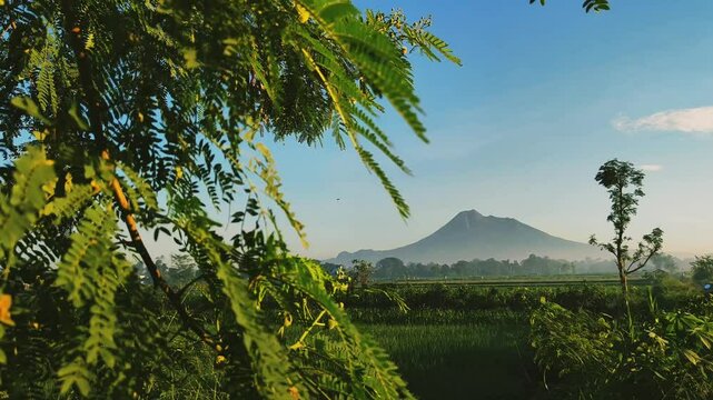 View of Mount Merapi in the misty morning from the field area