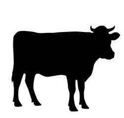 black silhouette of a cow