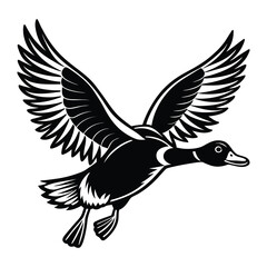 Fototapeta premium Flying duck svg