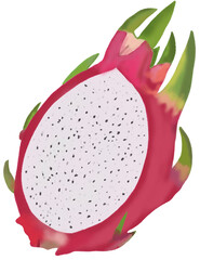 Dragon Fruit vector art illustration design. Hand drawn dargon fruit. Drawing dragon fruit.