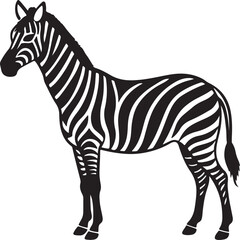 Fototapeta premium zebra vector illustration