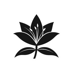 Elegant Black and White Lily Flower Illustration for Decoration Invitations or Branding Projects
