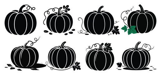 A set of orange pumpkins and other fresh vegetables, a seasonal autumn harvest food, are isolated for Thanksgiving or Halloween decoration