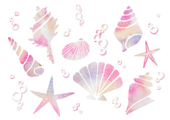 Pink shells drawn in watercolor
