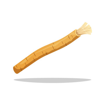 Miswak stick vector isolated on white background.