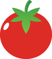 tomato vector illustration
