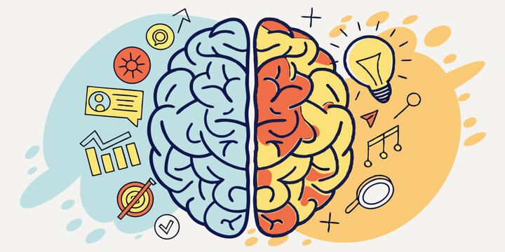 Left and Right Human Brain Concept – Creative and Logical Mind with Social and Business Doodles

