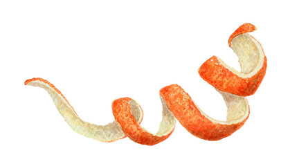 Twisted orange peel. Hand drawn watercolor food illustration of sweet fruit decor. Decorative citrus image with colorful realistic texture. Perfect for summer card template and cocktail menu design.