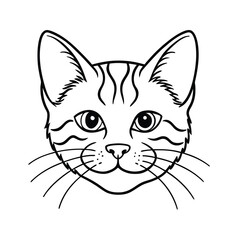 vector illustration of a cat