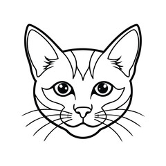 vector illustration of a cat