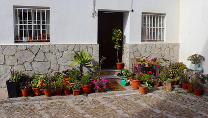 Naklejka premium Lovely pot garden beautifying the entry area of an white-washed Spanish home, Tarifa, Andalusia, Spain
