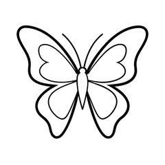 butterfly drawing art vector